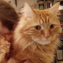 Thumbnail photo of Charlie #2