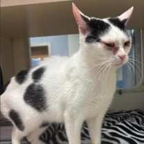 Thumbnail photo of Lottery #1