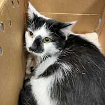 Thumbnail photo of Eli #1