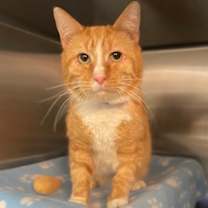 Thumbnail photo of Pierre #2