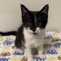 Thumbnail photo of Liam #2