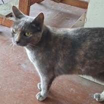 Thumbnail photo of Zoe #1