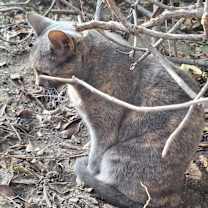 Thumbnail photo of Zoe #2