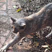 Thumbnail photo of Zoe #3