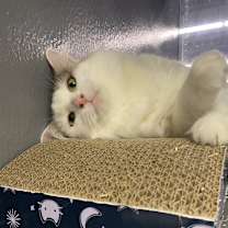 Thumbnail photo of April #2