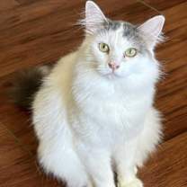 Thumbnail photo of April #3