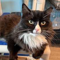 Thumbnail photo of Reggie #1