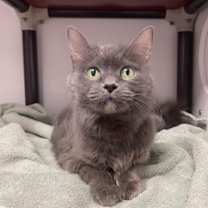 Thumbnail photo of Betty #1