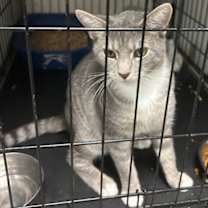 Thumbnail photo of Quinton #1