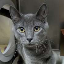 Thumbnail photo of Earl (Critter Barn) #4