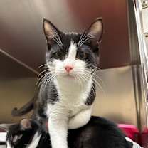 Thumbnail photo of Rick James #1