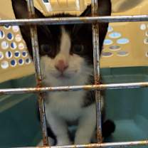 Thumbnail photo of Rick James #2