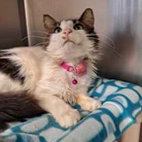 Thumbnail photo of Frannie #1