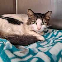 Thumbnail photo of Frannie #2