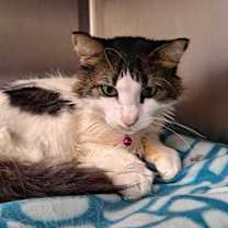 Thumbnail photo of Frannie #3