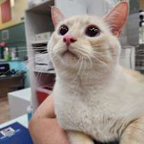 Thumbnail photo of Moon #1