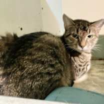 Thumbnail photo of Loretta Lynn #4