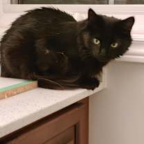 Thumbnail photo of Emerald #3