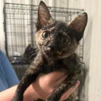 Thumbnail photo of Baby #1