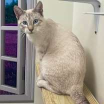 Thumbnail photo of Frost #1