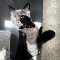 Thumbnail photo of Fiona #2