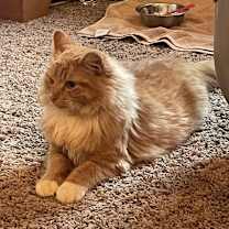 Thumbnail photo of ZEKE #2