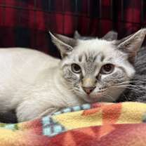 Thumbnail photo of Maximo #1