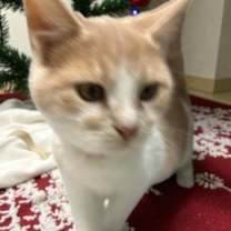 Thumbnail photo of Bill #1