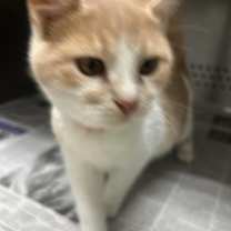 Thumbnail photo of Bill #2