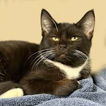 Thumbnail photo of Felipe #1