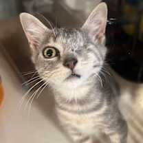 Thumbnail photo of Chloe #1