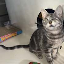 Thumbnail photo of Chloe #3