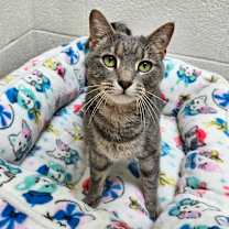 Thumbnail photo of Pekka #1