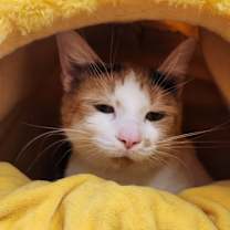 Thumbnail photo of Fiona #2