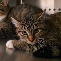 Thumbnail photo of Ruby #1