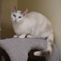 Thumbnail photo of Kacey #1