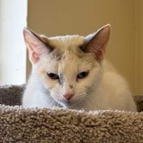 Thumbnail photo of Kacey #2