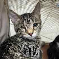 Thumbnail photo of Grace #1