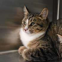 Thumbnail photo of Max #3