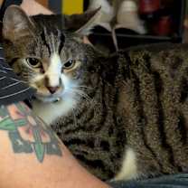 Thumbnail photo of Gigi #2