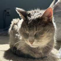 Thumbnail photo of Summer #3