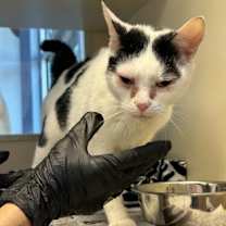 Thumbnail photo of Lottery #3