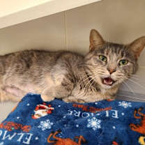 Thumbnail photo of Mama #2