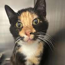 Thumbnail photo of Karla #2