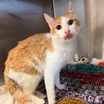 Thumbnail photo of Lorenzo #2