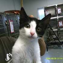 Thumbnail photo of Friday #1