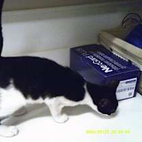 Thumbnail photo of Friday #2