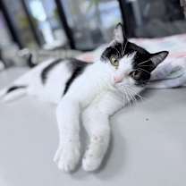 Thumbnail photo of PERJURY #1