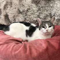 Thumbnail photo of Uncle Fester #2