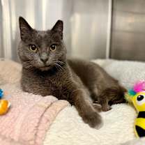 Thumbnail photo of Mary #1